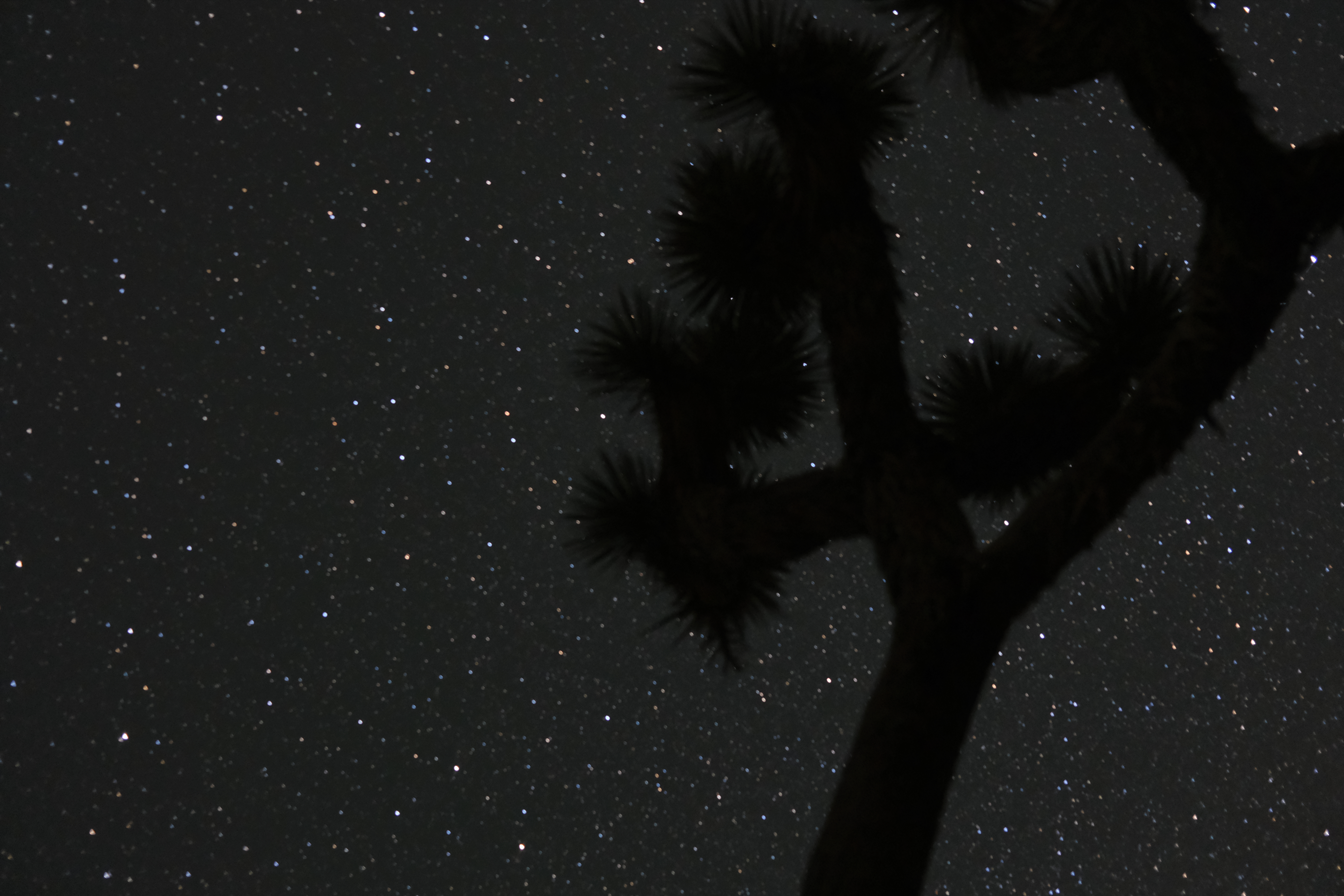 hidden_valley_joshua_tree